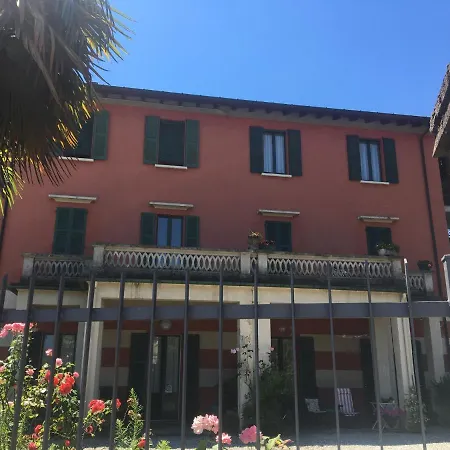 I Narcisi Fronte Maggiore *
